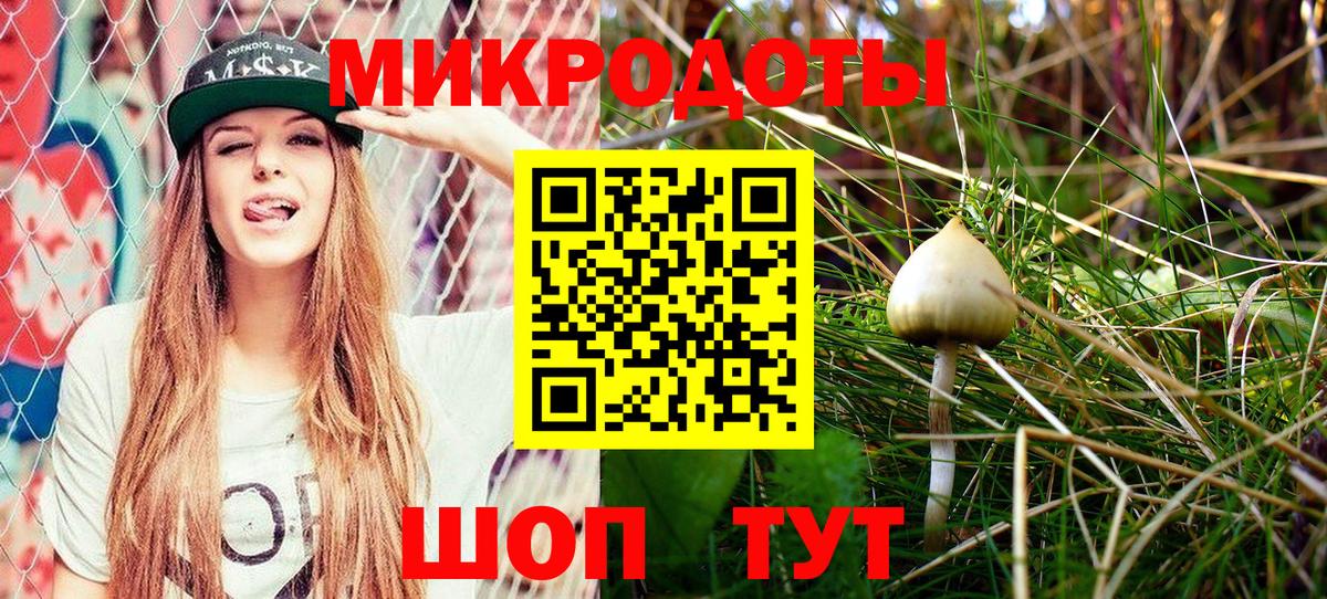 Псилоцибиновые грибы GOLDEN TEACHER  Вход с VPN  цена   Соль-Илецк  Псилоцибиновые грибы мухоморы 